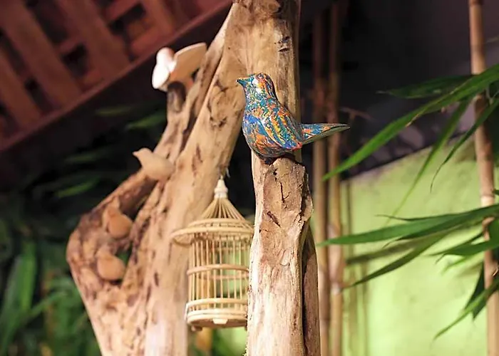 Pensión Bird 4*