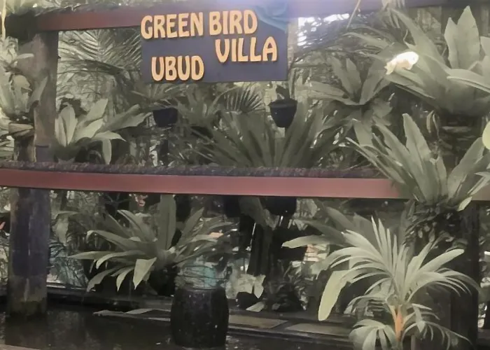 Bird 4* ウブド