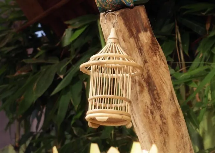 ゲストハウス Bird